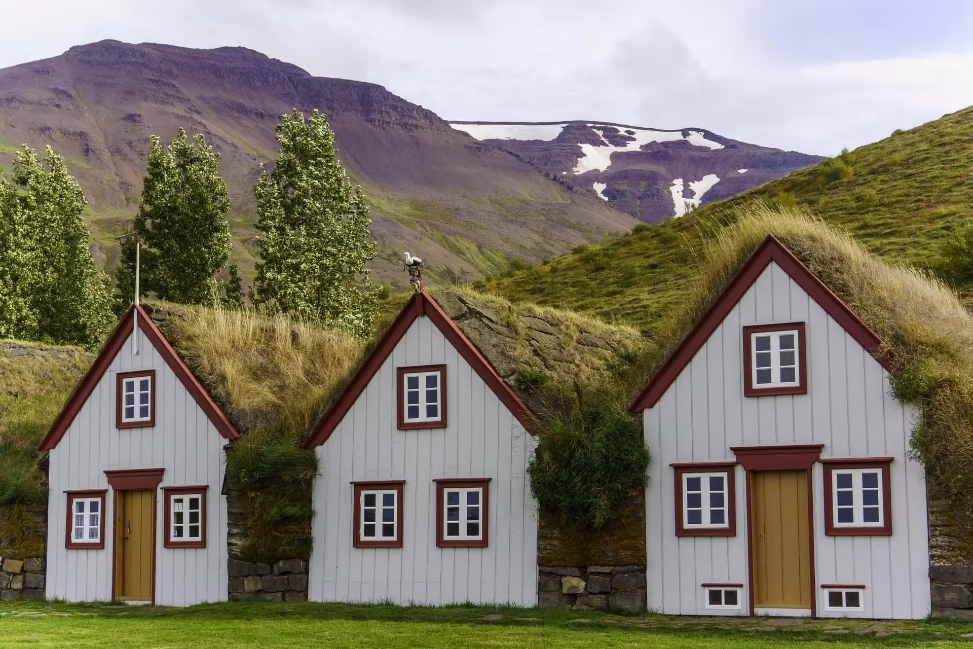 Traditional Icelandic turf houses with grass roofs at Laufas Museum near Akureyri with mountains behind