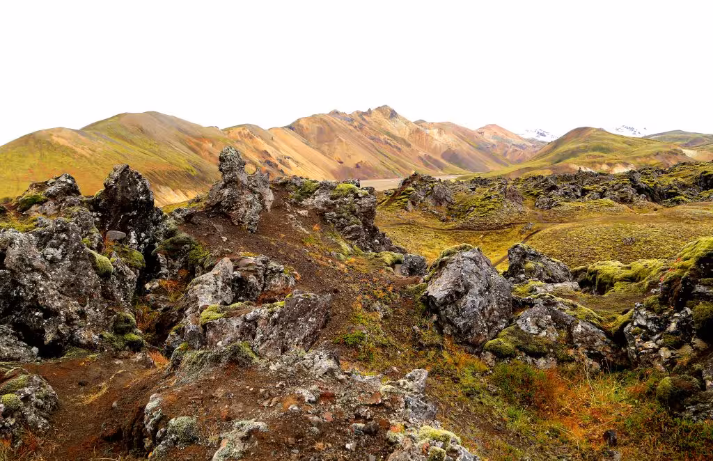 Volcanic lava rocks covered in moss with colorful rhyolite mountains of Landmannalaugar, Iceland