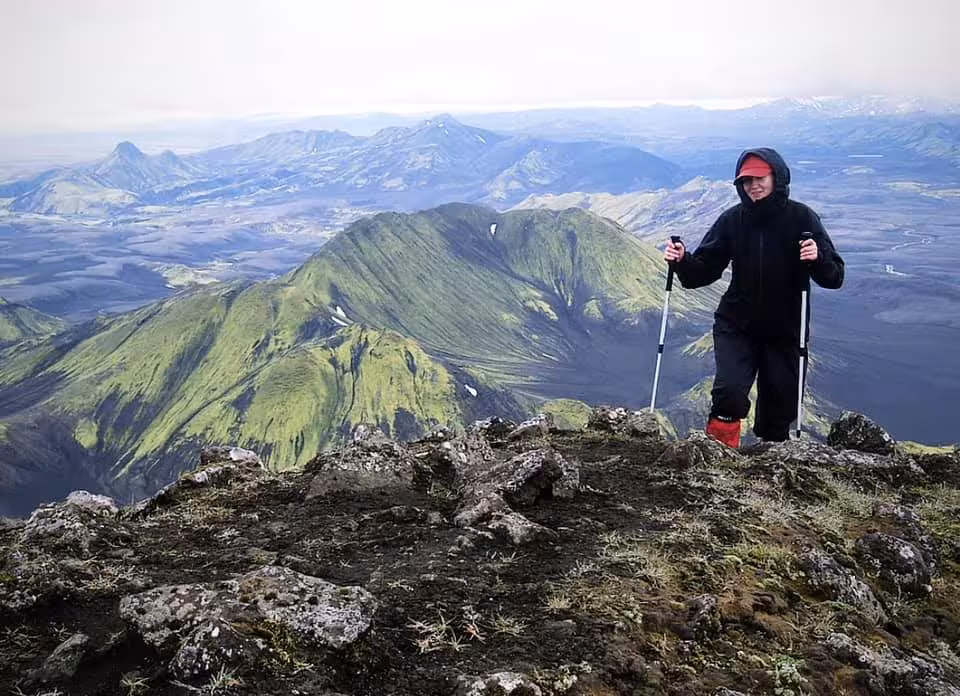 Hiker with trekking poles standing on rocky summit with green volcanic mountains of Landmannalaugar behind