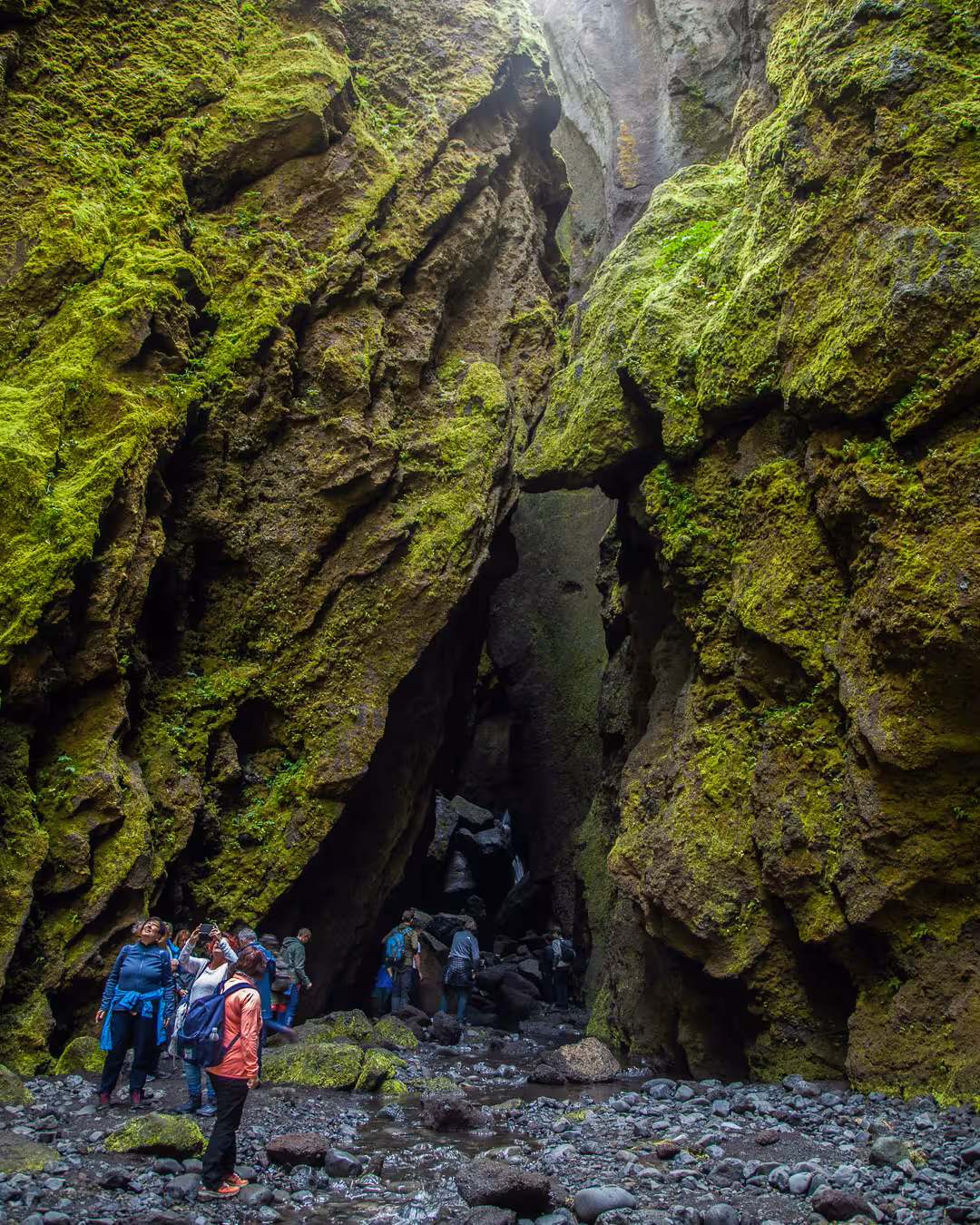 Hikers exploring a mossy lava canyon gorge on the Laugavegur Trek in Iceland