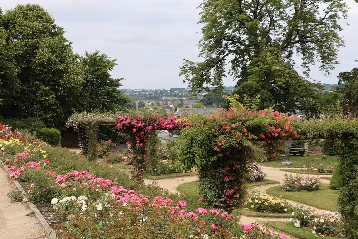 Rose garden with climbing roses on archways and manicured paths in Laval, France