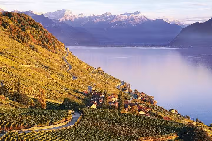Picturesque Lavaux vineyards overlooking Lake Geneva with stunning mountain backdrop, ideal for a Swiss travel itinerary.