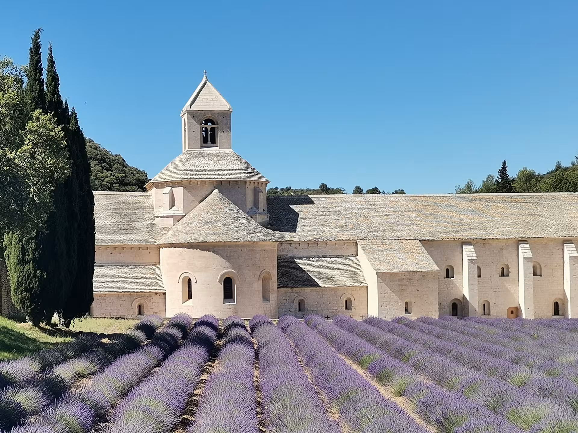 Lavender fields at Sénanque Abbey in Provence, iconic photo stop on the Provençal Picnic Tour in Luberon