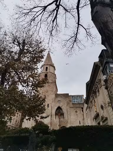 Old church and bell tower framed by trees in Le Panier, Marseille, on a scenic guided walking tour route