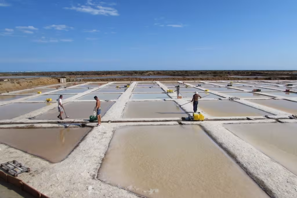 Local workers harvesting sea salt in traditional Leeward Islands salt pans under a bright blue sky on a cultural tour
