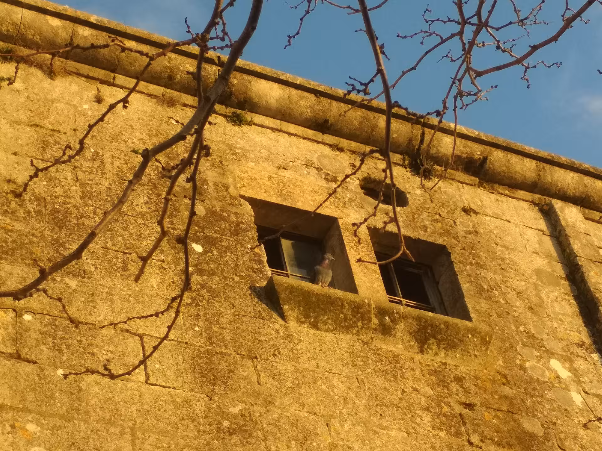 Close-up of historic Les Baux-de-Provence stone facade and window, authentic Provence lifestyle tour from Arles