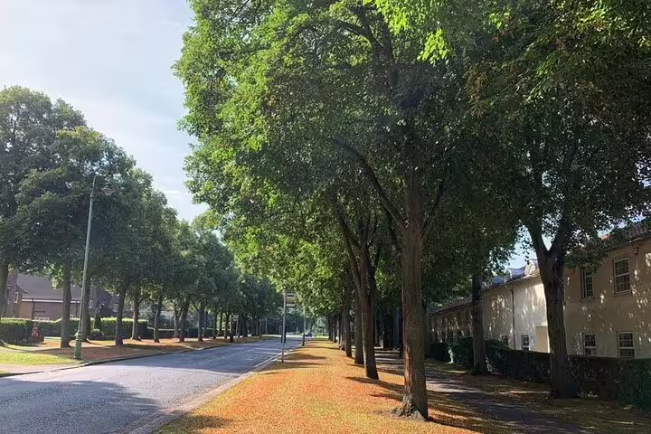 Tree-lined avenue with historic buildings in Letchworth Garden City on a sunny day