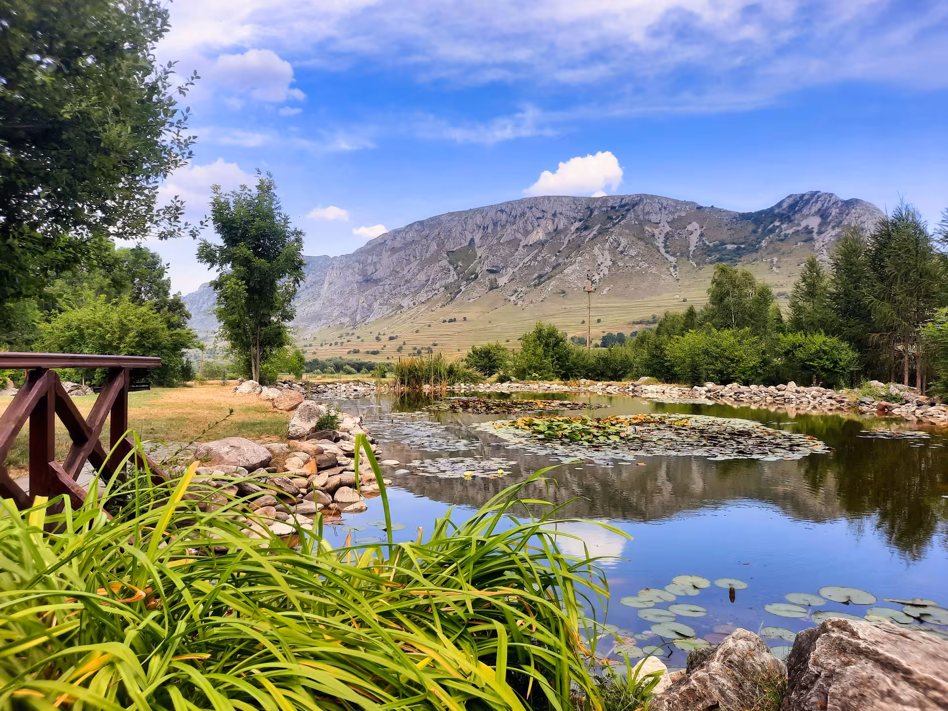 Serene lily pond reflecting Apuseni Mountains peaks near Rimetea guided dinner tour scenic nature retreat