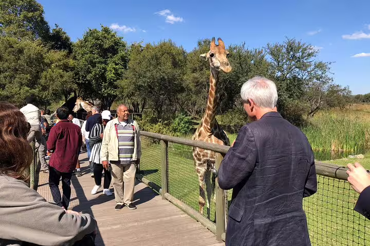 Safari from Johannesburg