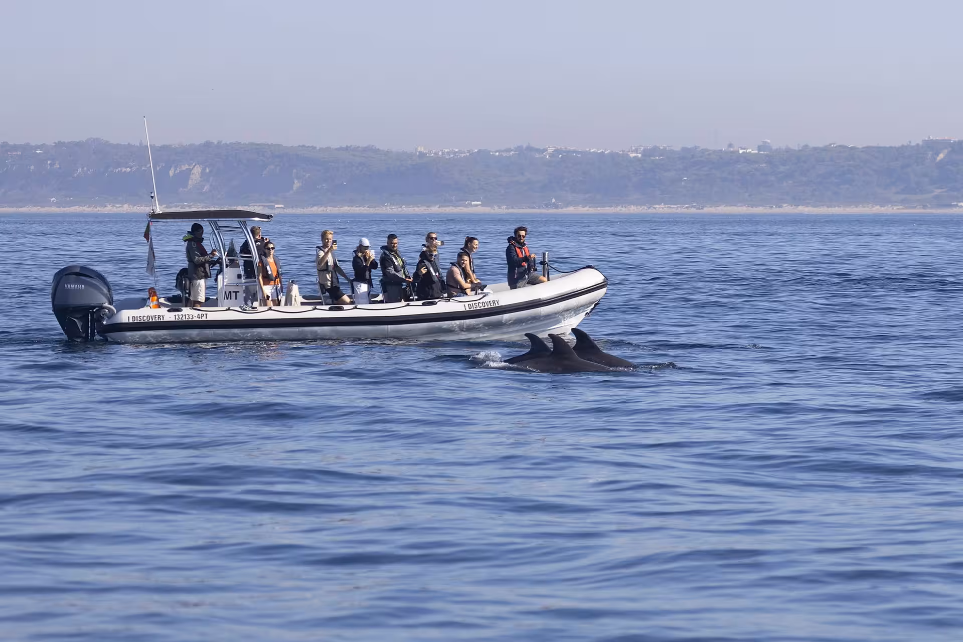Lisbon dolphin watching boat trip on a RIB as dolphins surface beside the boat off the Atlantic coast