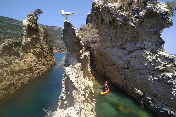 Kayaker navigates between dramatic cliff formations on a scenic Lisbon coasteering adventure, observed by a perched seagull.