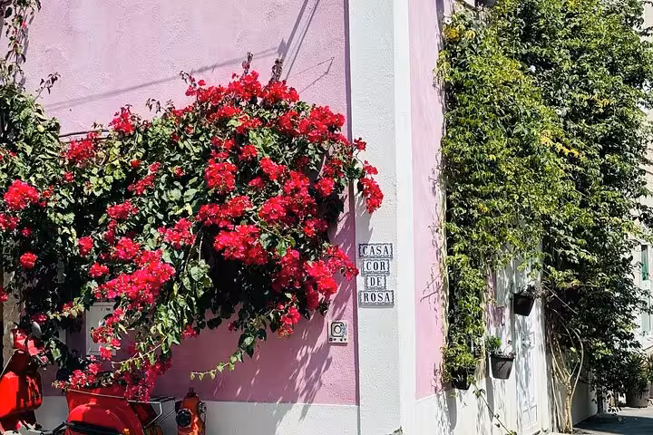 Vibrant pink house adorned with lush red bougainvillea on a sunny Lisbon street corner.