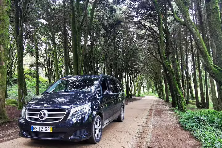 Luxury private van parked on a scenic forest road, offering Lisbon to Seville transfer with Algarve stops in comfort and style.