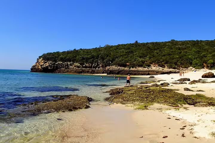 Scenic view of a tranquil beach with clear waters and lush greenery in Lisbon's south, perfect for a private wine tour experience.