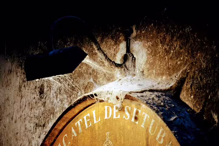 Aged wine barrel in a rustic cellar, showcasing Lisbon's South Sights & Wine Private Tour with a focus on Setúbal's muscatel.