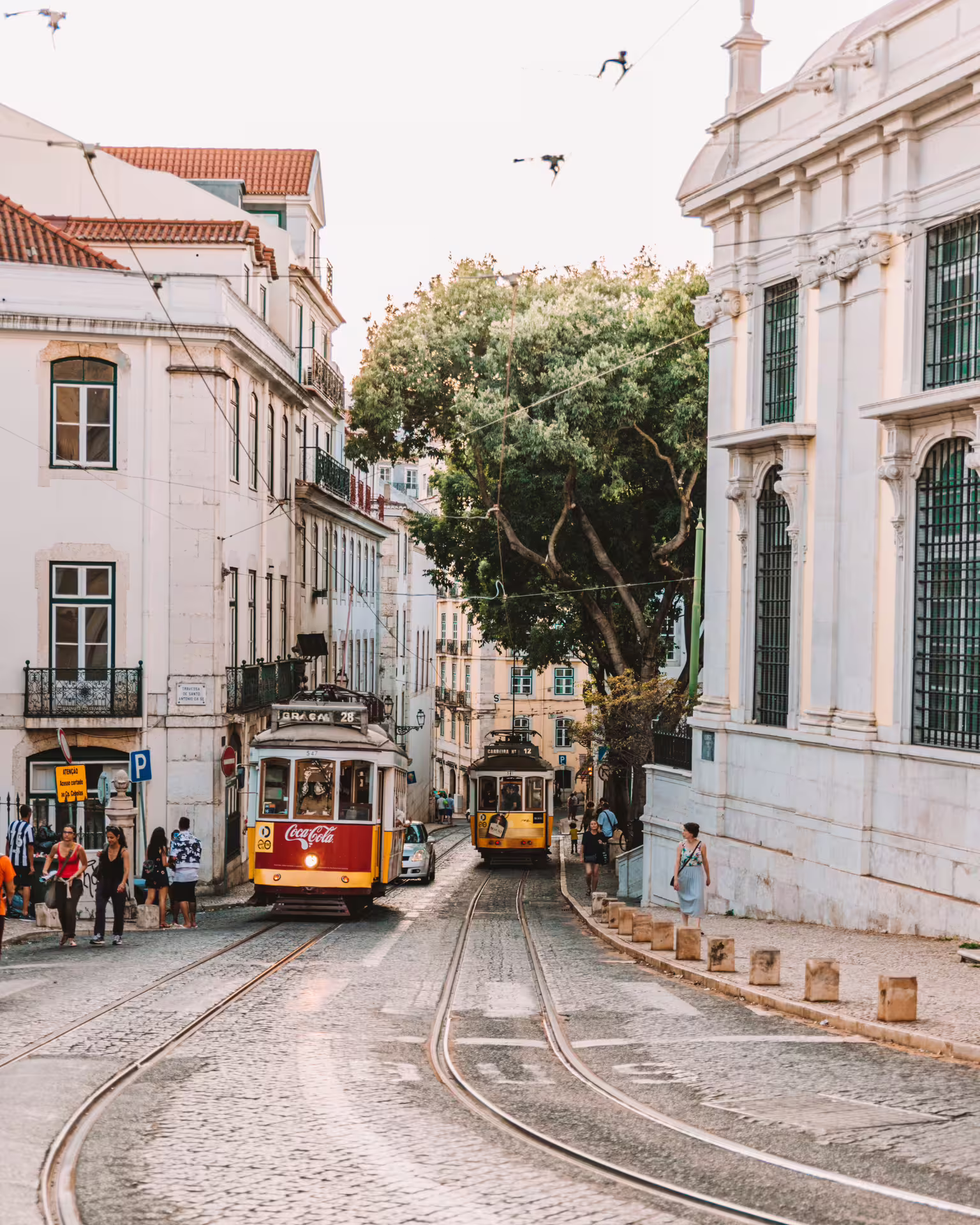 Charming Lisbon street with iconic yellow trams and historic buildings on a Tuktuk tour of the medieval city.
