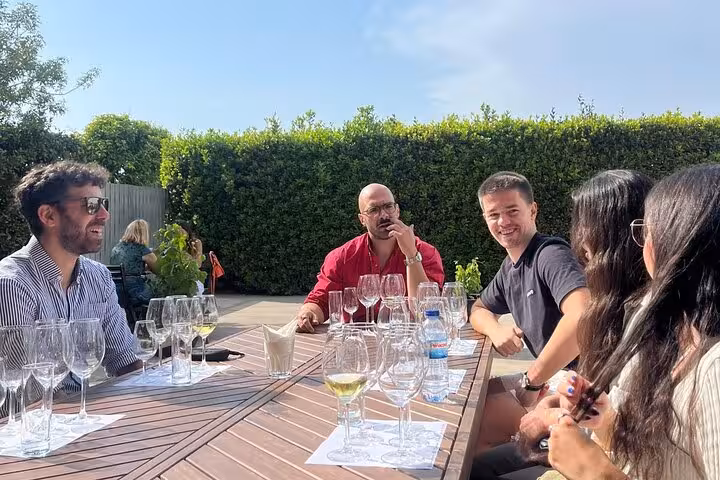Small group enjoying guided Lisbon wine tasting with multiple glasses and snacks on a sunny terrace