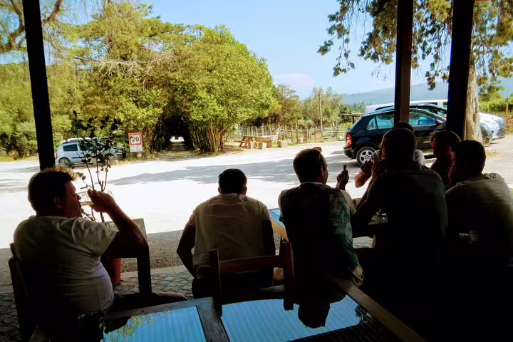 People enjoying a wine tasting at a scenic outdoor venue near Lisbon, surrounded by lush greenery and parked cars.