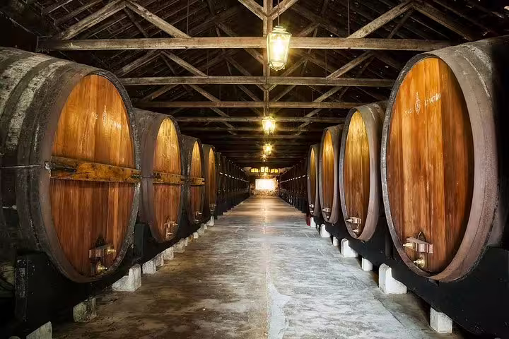 Historic wine cellar with large oak barrels in Setúbal, ideal for an immersive private Lisbon wine tasting experience.