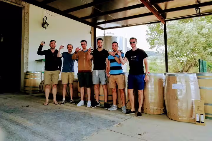 Group enjoying a wine tasting at a Lisbon vineyard, part of the Lisbon Surf & Wine tour experience.