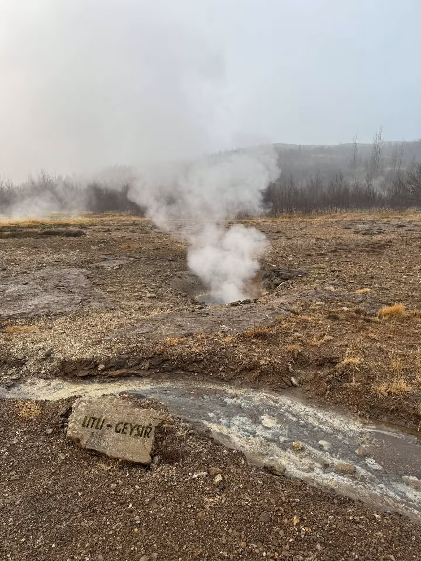 Steam rising at Litli Geysir hot spring in Haukadalur, classic stop on Grand Golden Circle tour from Reykjavik