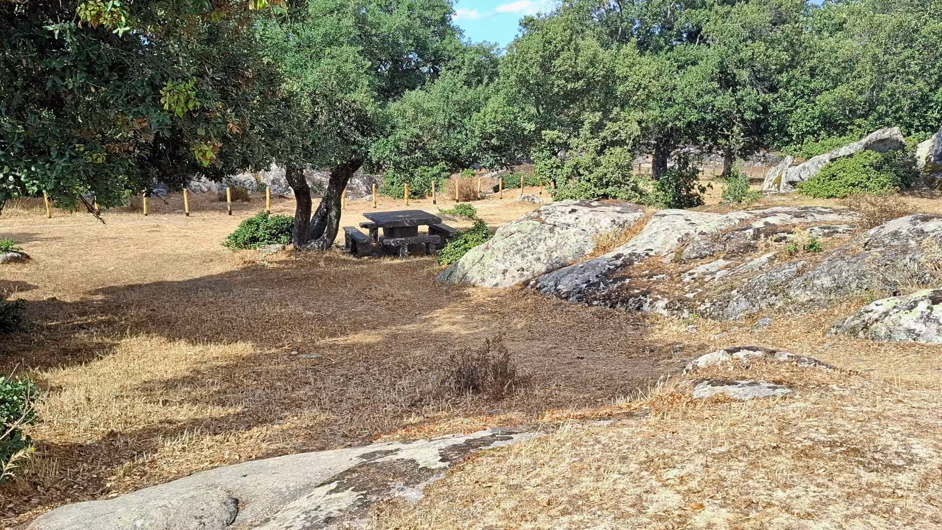 Picnic area with stone table and benches nestled among trees at Loelle archaeological site, Buddusò.