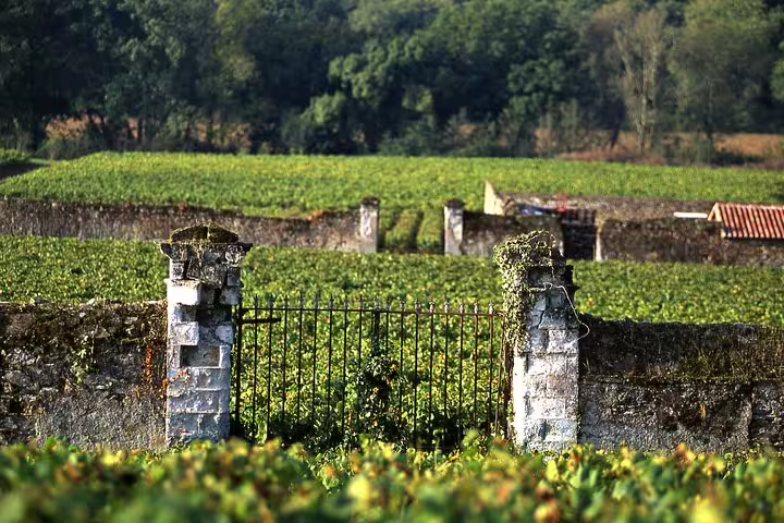 Loire Valley vineyard rows behind a stone gate, part of the Loire castles tour with wine tasting visit