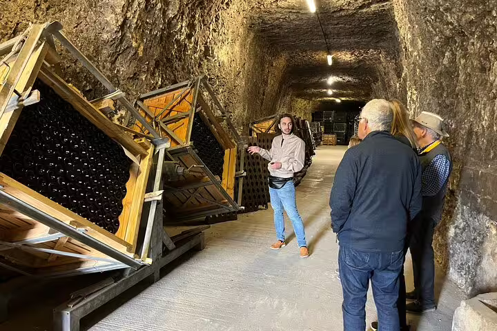 Guided wine cellar visit with bottle racks in Loire Valley, part of castles tour with lunch and vineyard tasting