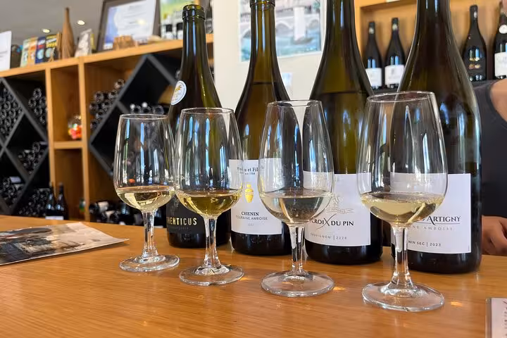 Loire Valley wine tasting with Chenin Blanc pours in a cellar, part of a chateau tour with lunch included