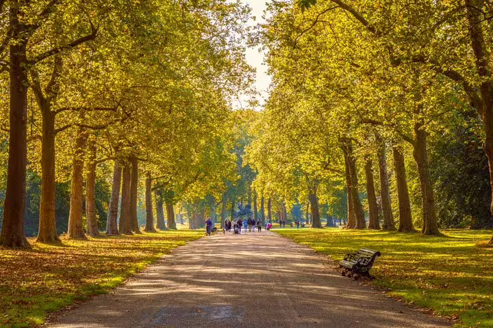 Tree-lined pathway in a London park with people walking on a sunny autumn day