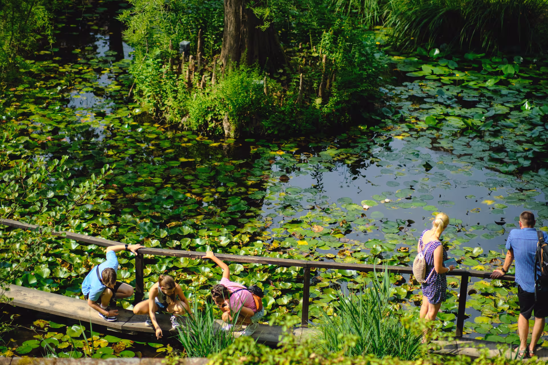 Tourists explore lush gardens in Lucca, Italy, surrounded by vibrant greenery and serene water lilies.