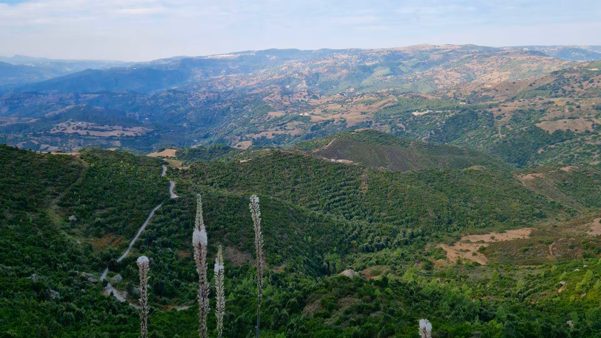 Scenic view of verdant hills and winding paths in Lula Montalbo, ideal for nature hiking adventures.