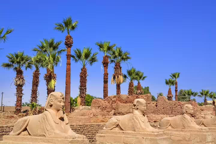 Palm-lined sphinx statues at Luxor Temple complex, included in 2-day Cairo & Luxor tour from Marsa Alam flight