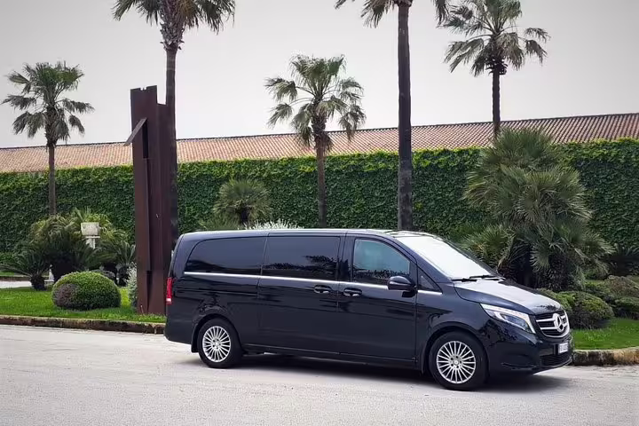 Luxury black minivan parked by palm trees for private Palermo Airport to Hotel Federico II Central Palace transfer