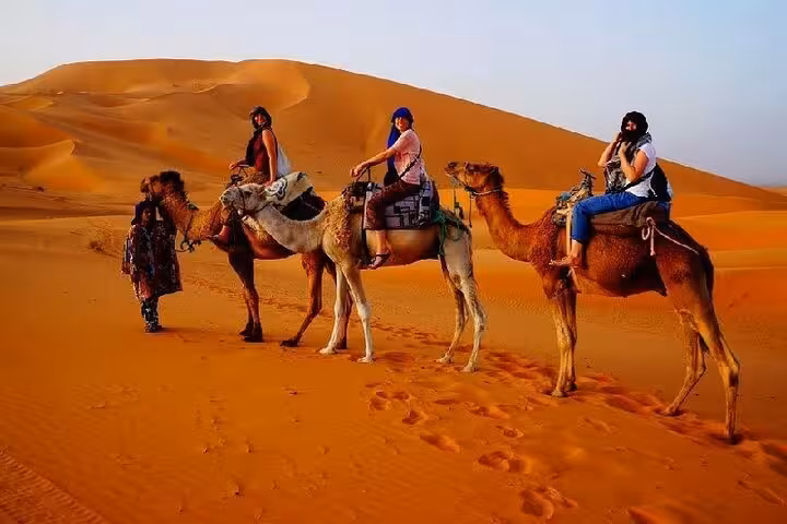 Group of tourists on camels exploring the vast Sahara desert during a luxury tour from Fes to Marrakech.
