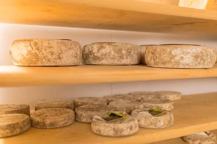 Aged cheese wheels on wooden shelves in Lyon, showcasing local gastronomy on the Old Town food tour.