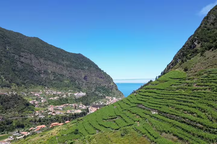 Scenic view of Madeira's lush terraced vineyards and coastal cliffs, ideal for a 4x4 adventure and skywalk tour with wine tasting.