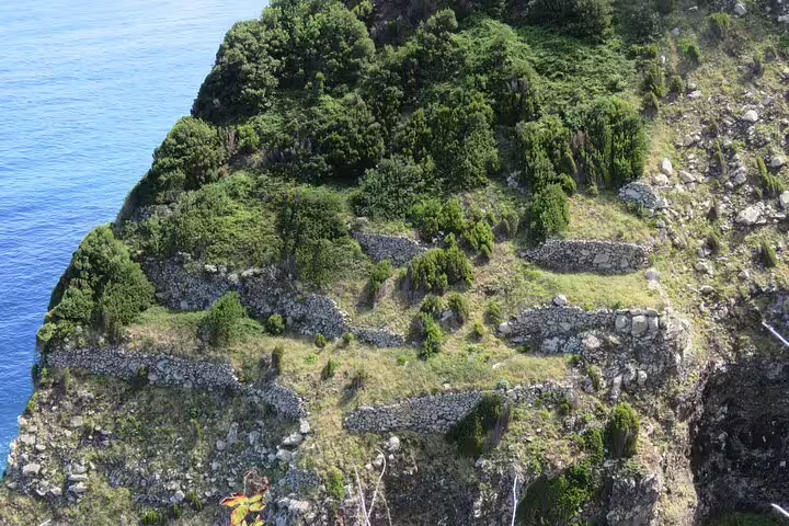 Scenic cliffside view of lush greenery and terraced rock formations along the coastline on a 4x4 adventure in Madeira.