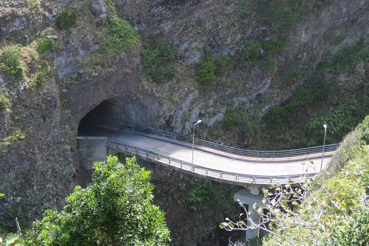 Scenic mountain road and tunnel on Madeira Island, ideal for a thrilling full-day 4x4 private adventure tour amidst lush landscapes.
