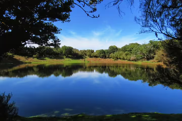 Scenic view of a tranquil lake surrounded by lush greenery under a clear blue sky, ideal for a 4x4 exploration tour in Madeira.
