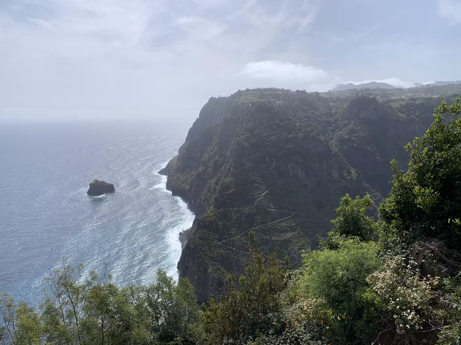 Breathtaking Madeira cliffside viewpoint on a private guided tour showcasing rugged sea cliffs and misty Atlantic coastline