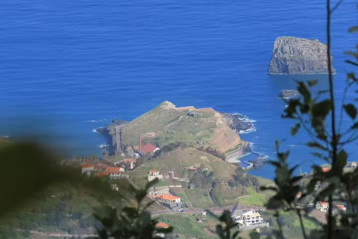 Scenic coastal view of Madeira's cliffs and ocean from Funchal, highlighting the natural beauty on a guided 4-hour tour.