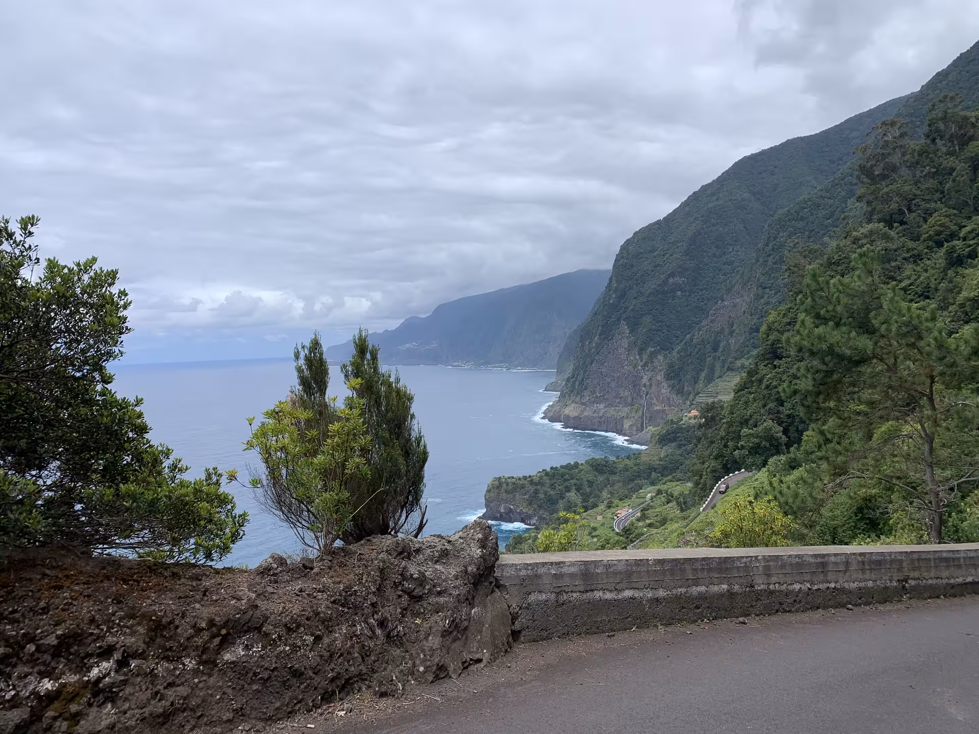 Private guided small group tour along Madeira's dramatic coastal cliffs with lush green mountains and ocean views