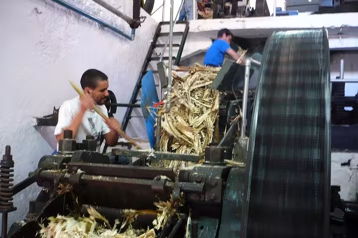 Workers processing sugarcane at a traditional Madeira distillery visited during a full-day coastal highlights tour