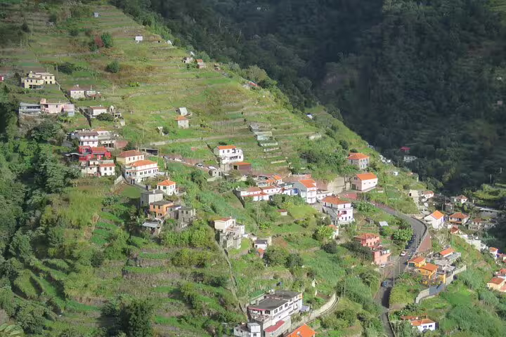 Scenic view of Madeira Island's lush terraced hills and charming village, perfect for a full-day guided tour experience.