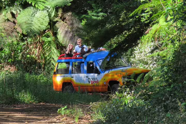 Adventure seekers enjoy a vibrant jeep tour through lush Madeira forests on a full day guided excursion.