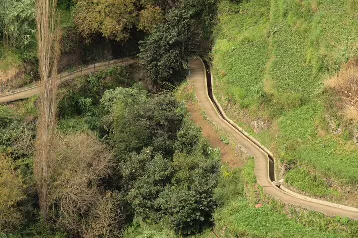 Scenic levada walk in Madeira's lush greenery, showcasing the island's natural beauty on the Skywalk wonders & Wine delights tour.