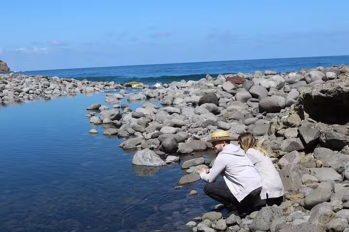 Couple enjoys serene rocky coastline views on Madeira West's Enchanted Terraces & Fanal UNESCO open-top jeep tour.