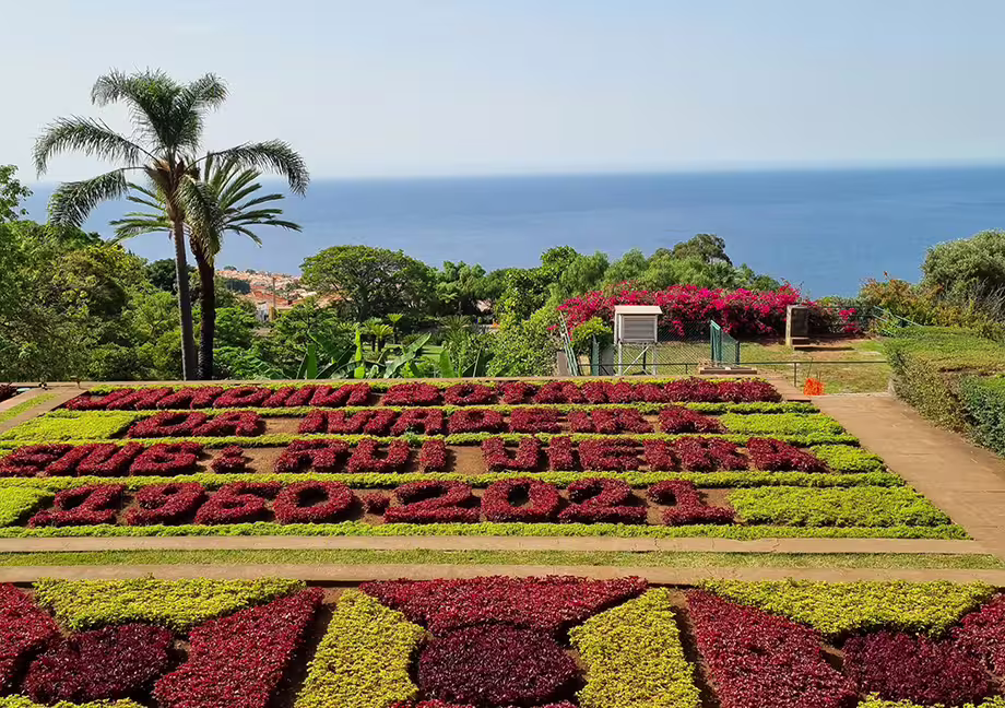 Lush botanical garden with vibrant floral display overlooking the ocean, showcasing Madeira's stunning natural beauty on a private tour.