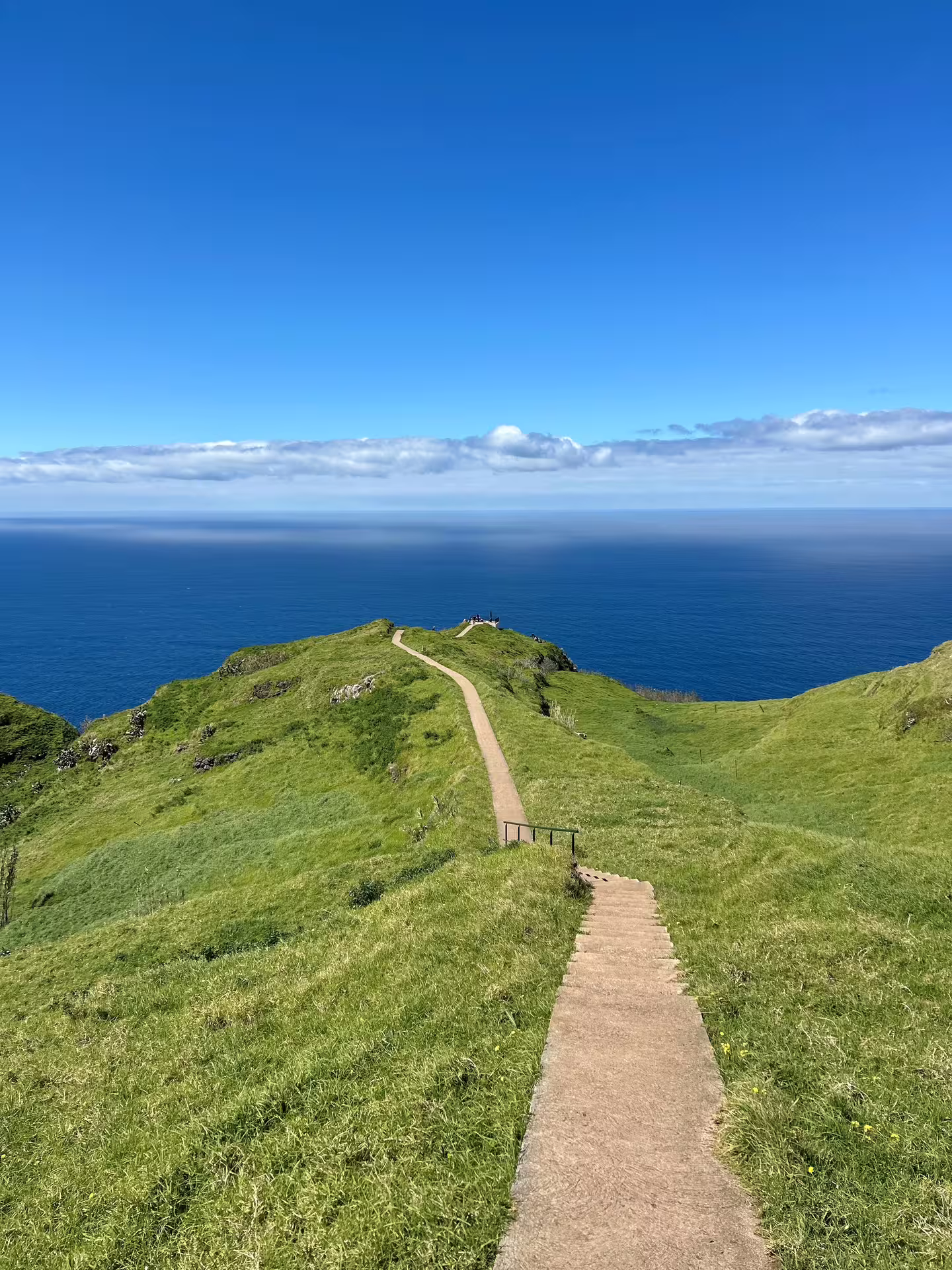 Scenic coastal path in Madeira with lush green hills and stunning ocean views, perfect for a private, comfortable tour.